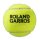Wilson Roland Garros Clay Court 4er Dose