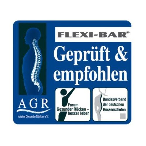 FLEXI-BAR Standard - rot  + Trainingsposter 1-2 + DVD + Protection Bag
